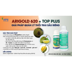 ￼Bộ quản lý thối trái An Phát Nông Arigold 620 + Top Plus, đặc trị thối trái sầu riêng, đẹp gai xanh trái