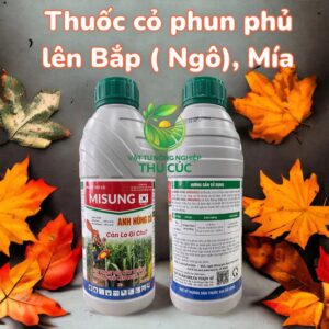 MISUNG - Phun Trùm Lên Ngô ( Bắp) Mía, An Toàn Cho Ngô Mía Kể Cả Giống Biến Đổi Gen
