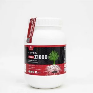 Z1000 DASSHU- Bung rễ cực mạnh, đi đọt cực nhanh.Xanh cây, dày lá.Giải độc hữu cơ, chống nghẹt rễ.