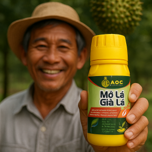 Già lá – Mở lá AOC | Giúp lá sầu riêng già đồng loạt, trái đẹp, lên cơm