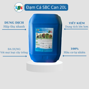 Đạm Cá Cô Đặc SBC 20L – Phân Bón Hữu Cơ Kích Rễ, Tăng Trưởng Mạnh