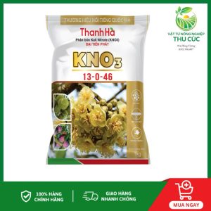 ￼Phân Bón Kali Nitrate (KNO3) Kích Thích Ra Hoa Đồng Loạt, Tăng Tỉ Lệ Đậu Trái, Giúp Trái Lớn Nhanh