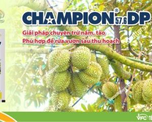 Thuốc trừ nấm Champion 57.6DP - 300gr