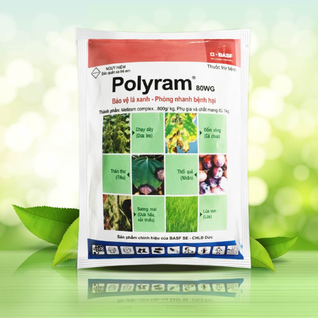 POLYRAM-01-1024x1024