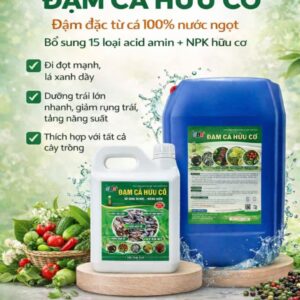 Đạm Cá Cô Đặc SBC 20L – Phân Bón Hữu Cơ Kích Rễ, Tăng Trưởng Mạnh