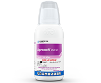 Aproach 250SC – Thuốc Trừ Bệnh Đạo Ôn, Khô Vằn, Lem Lép Hạt, Vàng Lá Chín Sớm