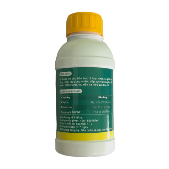 than-cong-mat-sau-2-7861