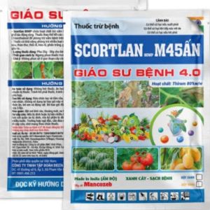 Giáo Sư Bệnh M45 Ấn Xanh 1kg – Đặc Trị Thán Thư, Đốm Nâu, Thối Trái Hiệu Quả