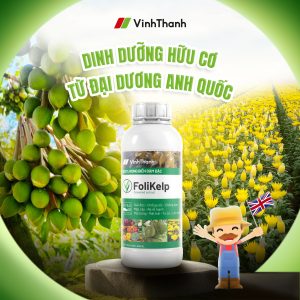 FoliKelp (Vĩnh Thạnh) – Rong biển đậm đặc, giải độc, chống sốc, dưỡng bông, trái