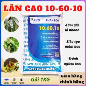 NPK 10-60-10 An Phát Nông – Ra Hoa Đều, Dưỡng Hoa Mạnh