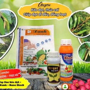 (Combo:Tăng trưởng -phục hồi)Black+Top One+Dr Xanh  pha 400l.Chuyên thúc đọt , kéo cơi, đều và đồng loạt