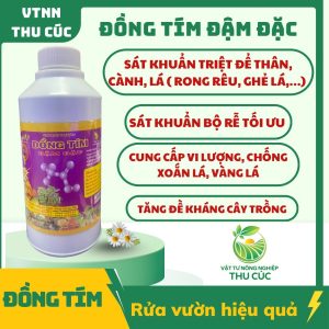 ĐỒNG TÍM ĐẬM ĐẶC | SÁT KHUẨN THÂN – CÀNH – LÁ | TĂNG SỨC ĐỀ KHÁNG CHO CÂY TRỒNG