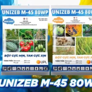 UNIZEB M-45 80WP PHÒNG TRỪ NẤM BỆNH TRÊN CÂY TRỒNG