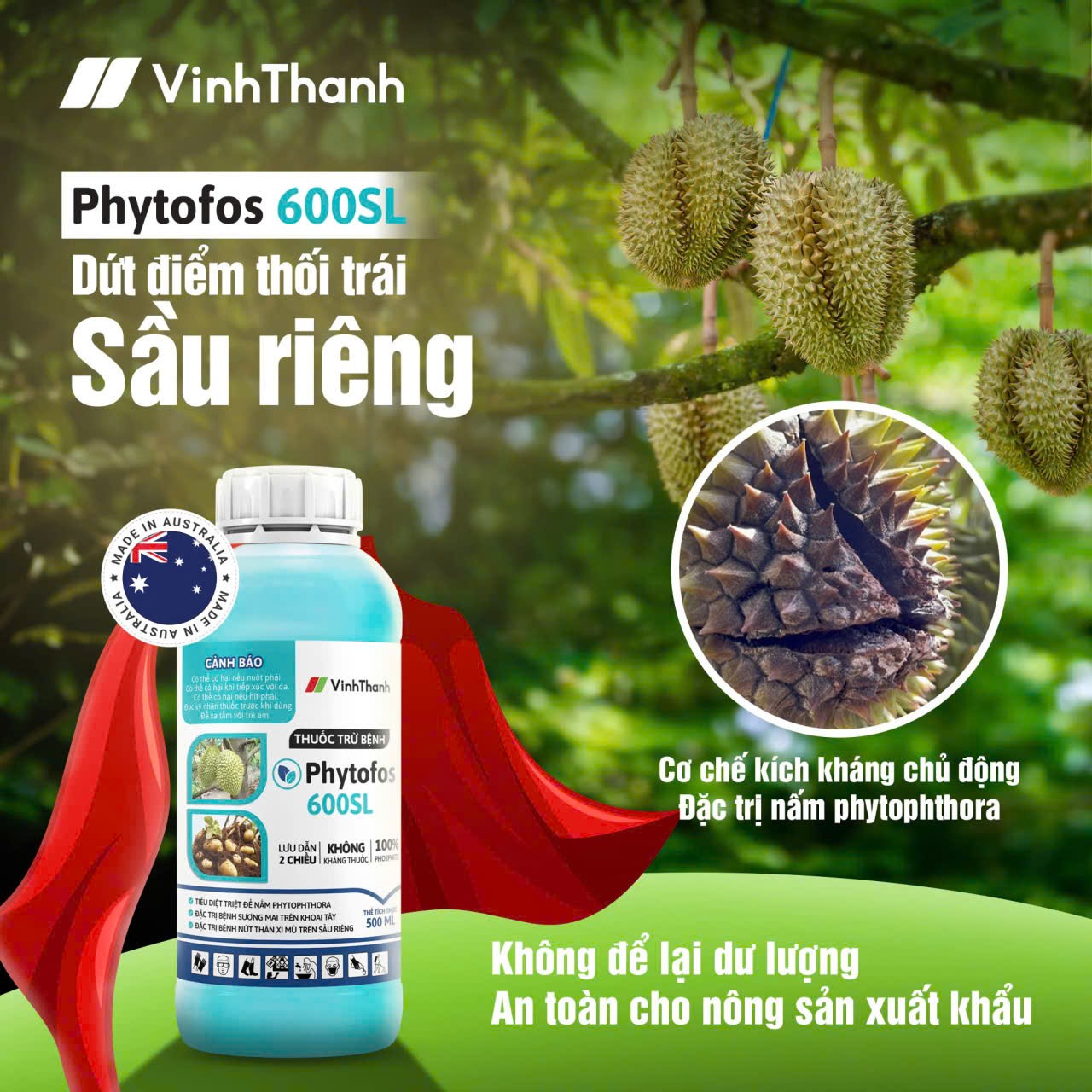 IMG_1758788190523_1758788829555