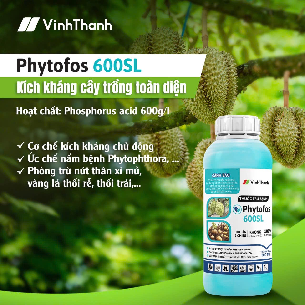 IMG_1758788190636_1758788829730