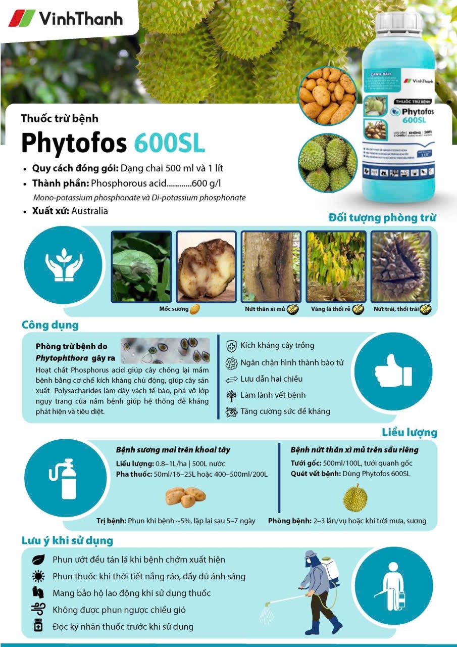 IMG_1758788190767_1758788829820