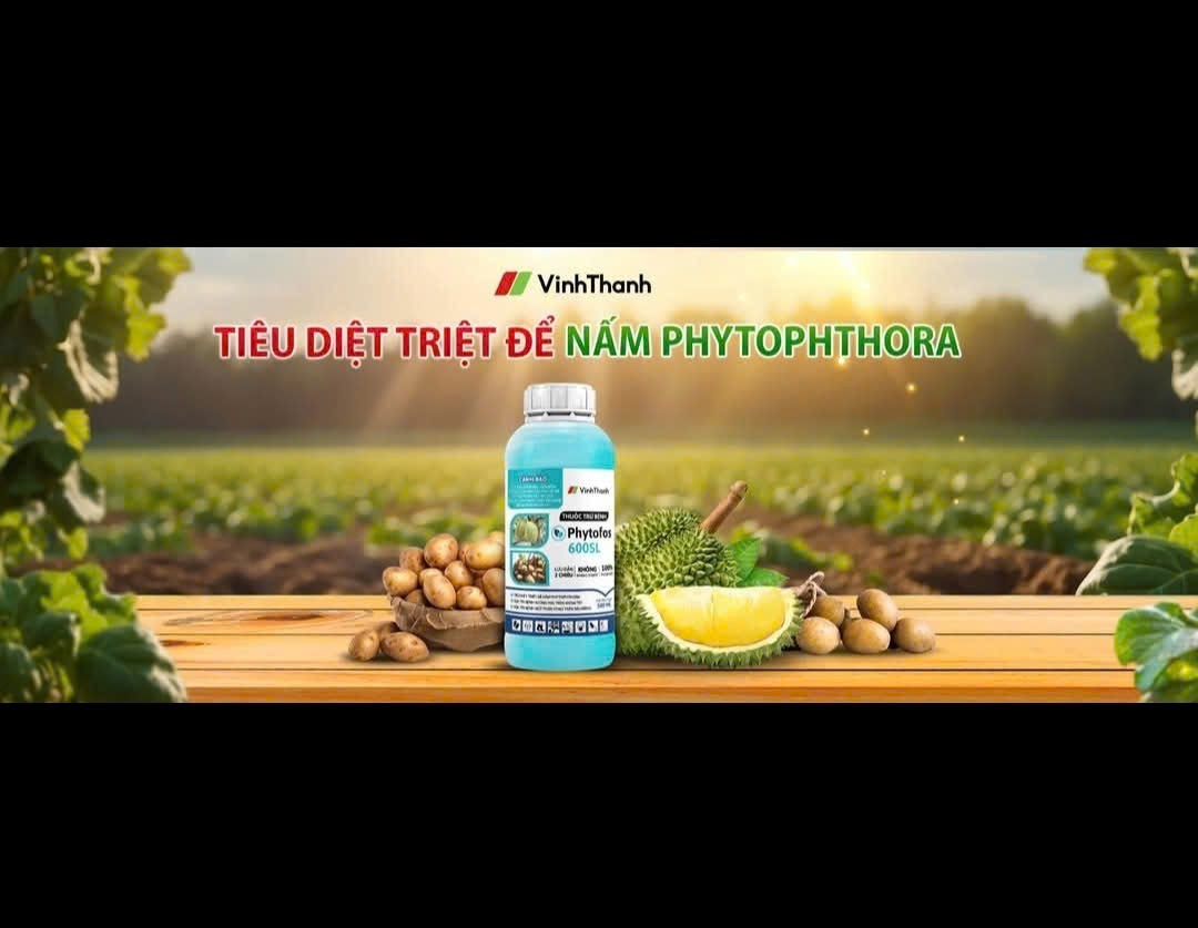 IMG_1758788191055_1758788830193