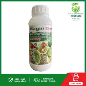 Magie Kẽm Giúp Quả To Bóng Đẹp, Chắc Ruột