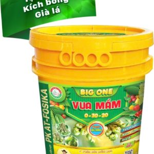 Phân Bón Big One Vua Mầm 0-30-20 – Kích Mầm, Kích Bông, Già Lá Cho Cây Sầu Riêng