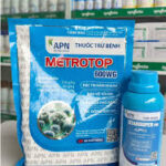 Bộ Đôi METROTOP 600WG + STARSUPER – Trị Nấm Mạnh, Phục Hồi Nhanh, Xanh Lá Tốt