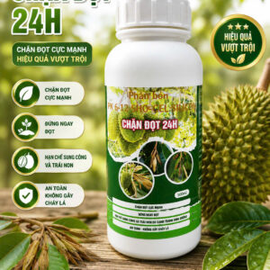 Chặn Đọt 24H 500ml - Chặn Đọt Sầu Riêng, Già Lá Nhanh, Hạn Chế Sung Cơi, Hỗ Trợ Ra Hoa Đồng Loạt