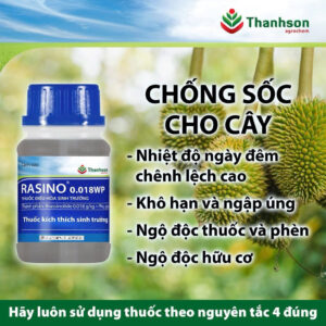 Rasino 0.018WP 40g Thanh Sơn – Kích Thích Sinh Trưởng, Chống Sốc Cây, Phục Hồi Nhanh, Ra Rễ Mạnh