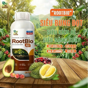Phân Bón Kích Rễ RootBio R01 1L – Axit Humic 7% – NPK 3-3-3 – Phun Lá & Tưới Gốc