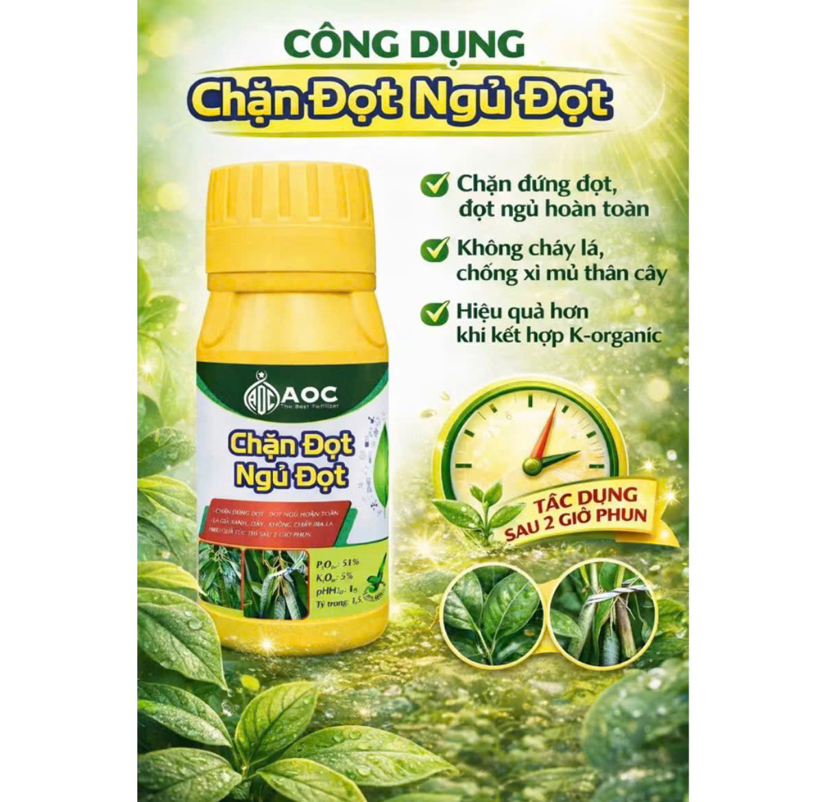 Chặn Đọt - Ngủ Đọt AOC 250ml – Già Lá Nhanh, Chống Rụng Hoa Trái, Ổn Định Cây, Pha 200–400L
