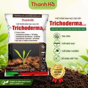 Trichoderma VJ3 Thanh Hà 1Kg | Xử Lý Đất - Phòng tuyến trùng - Ủ Phân Hữu Cơ - Khử Mùi Chuồng Trại - Cải Tạo Đất Trồng