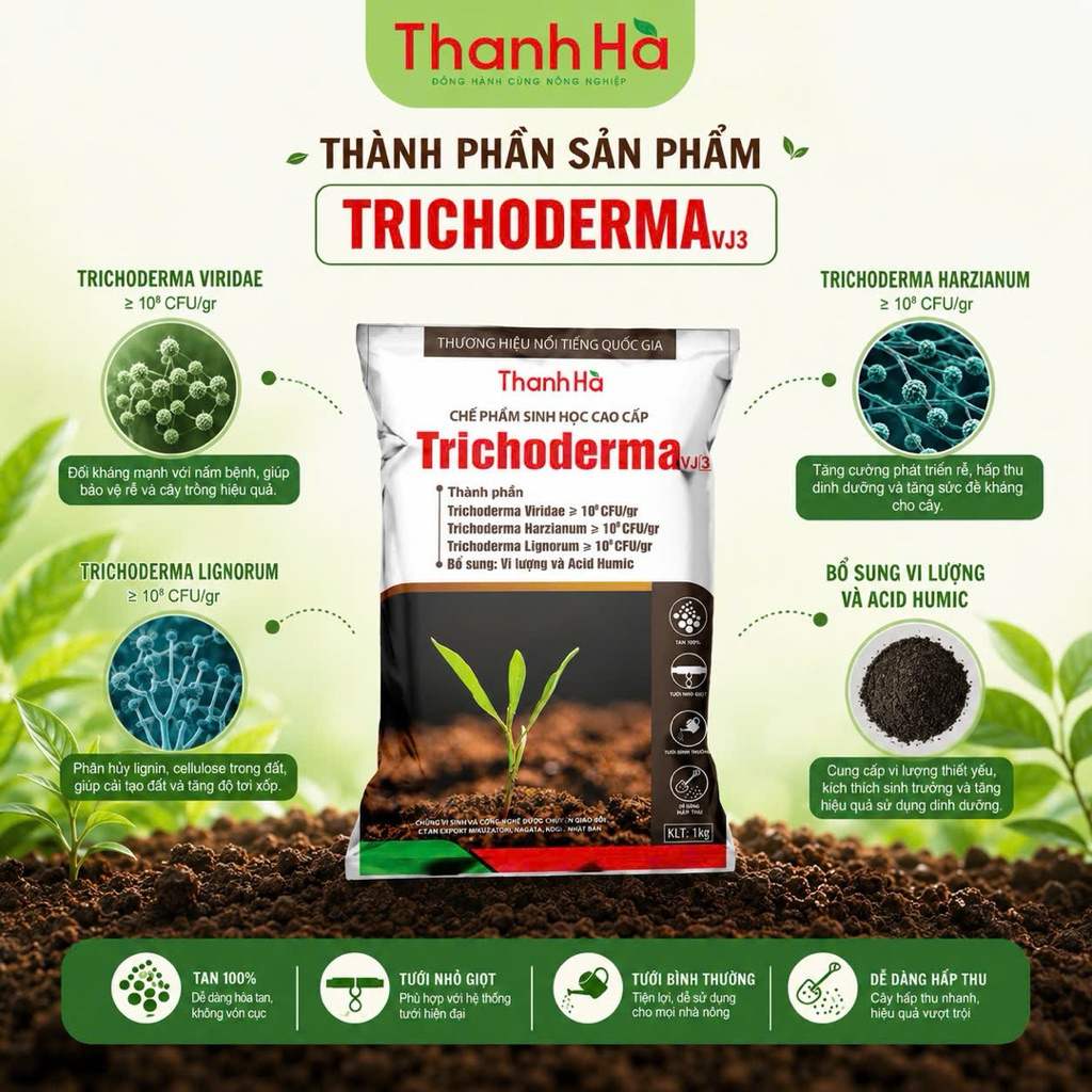 Trichoderma VJ3 Thanh Hà 1Kg | Xử Lý Đất - Phòng tuyến trùng - Ủ Phân Hữu Cơ - Khử Mùi Chuồng Trại - Cải Tạo Đất Trồng - Ảnh 3