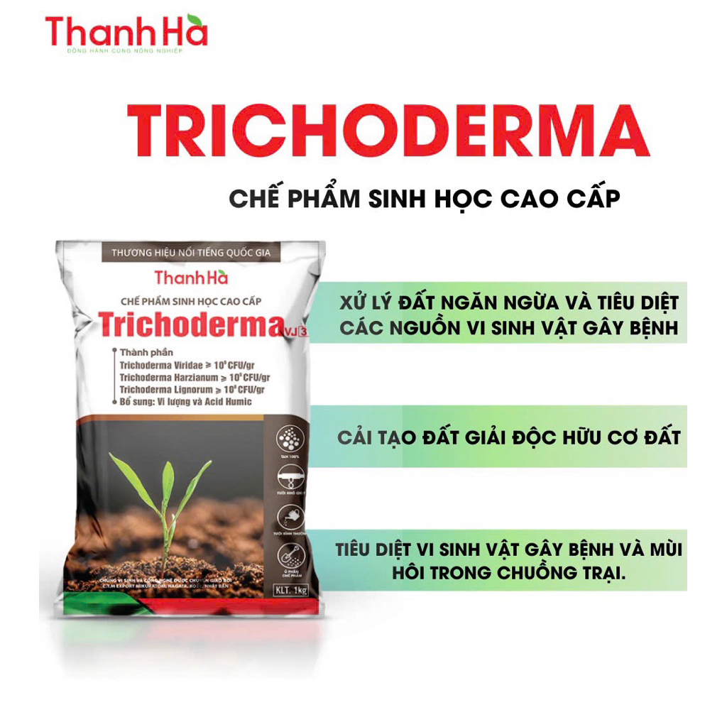 Trichoderma VJ3 Thanh Hà 1Kg | Xử Lý Đất - Phòng tuyến trùng - Ủ Phân Hữu Cơ - Khử Mùi Chuồng Trại - Cải Tạo Đất Trồng - Ảnh 4